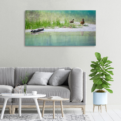Foto canvas Eenden bij het water