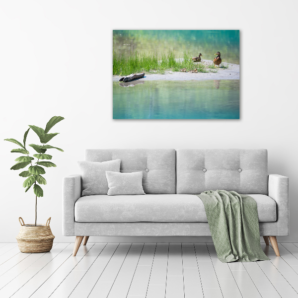 Foto canvas Eenden bij het water