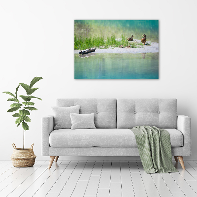 Foto canvas Eenden bij het water