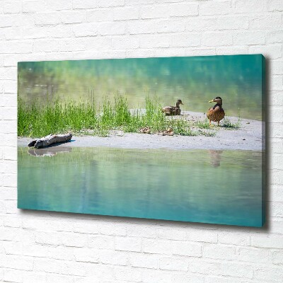 Foto canvas Eenden bij het water