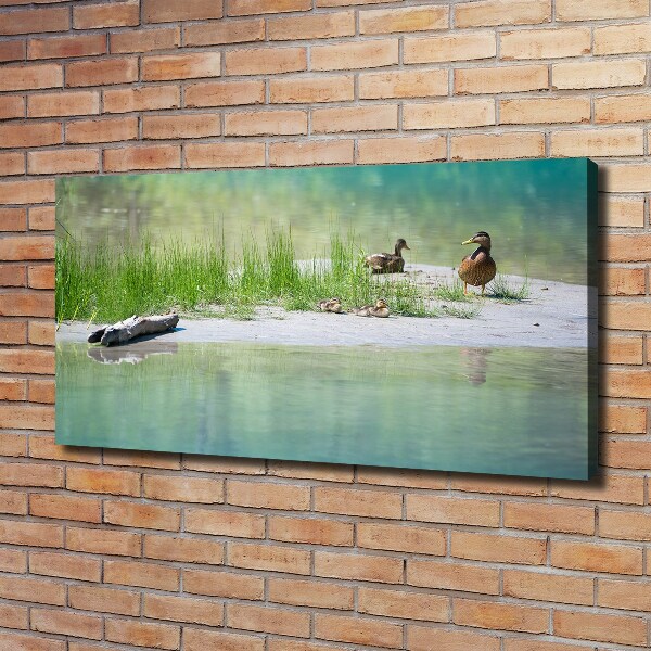 Foto canvas Eenden bij het water