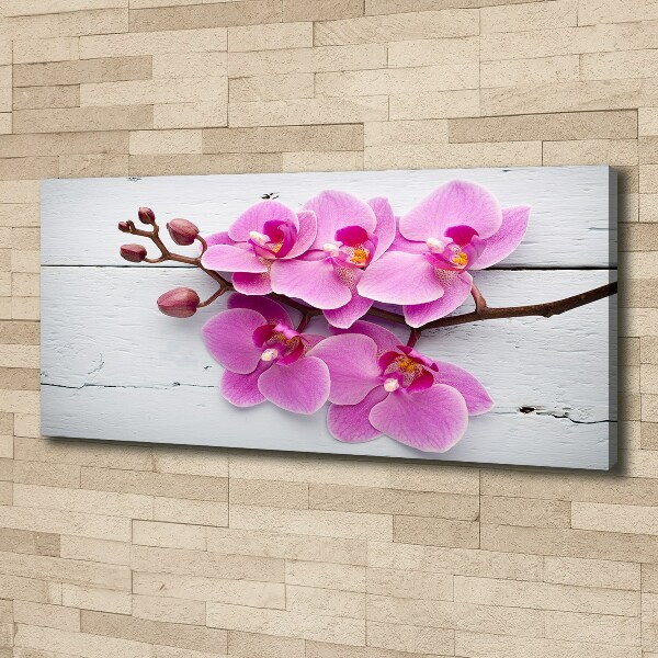 Foto canvas Orchidee op hout