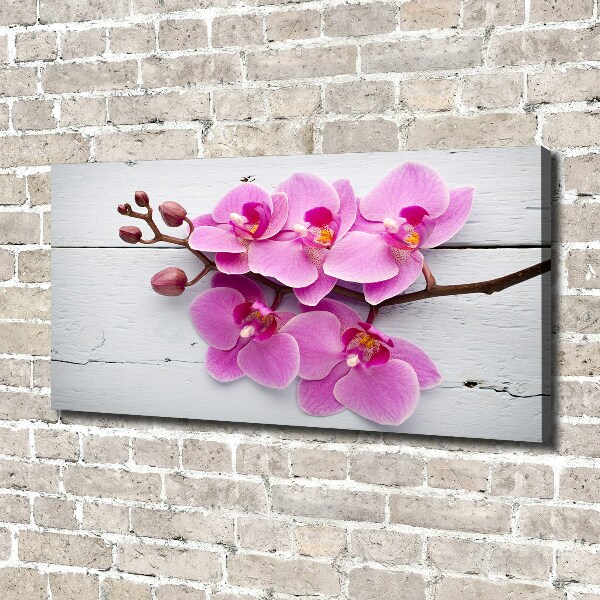Foto canvas Orchidee op hout