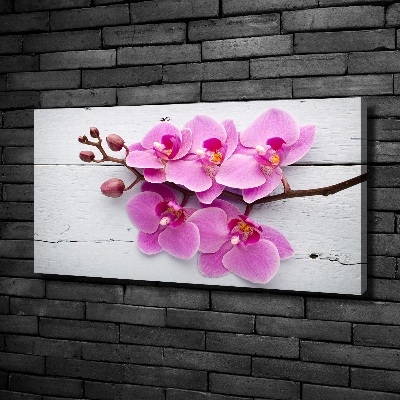 Foto canvas Orchidee op hout