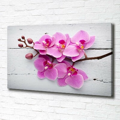 Foto canvas Orchidee op hout