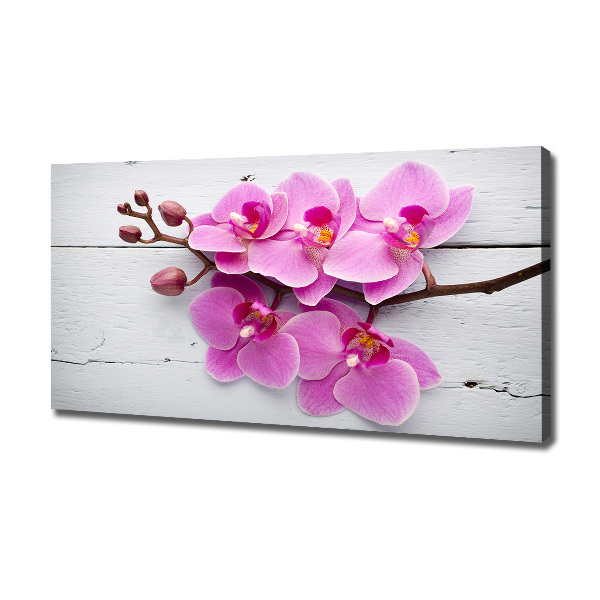 Foto canvas Orchidee op hout