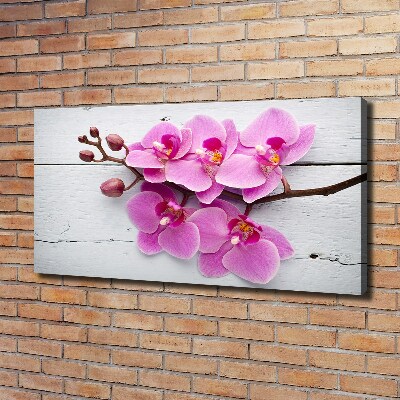 Foto canvas Orchidee op hout