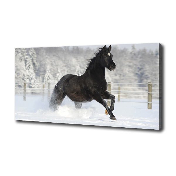 Foto op canvas Een paard dat galoppeert in de sneeuw