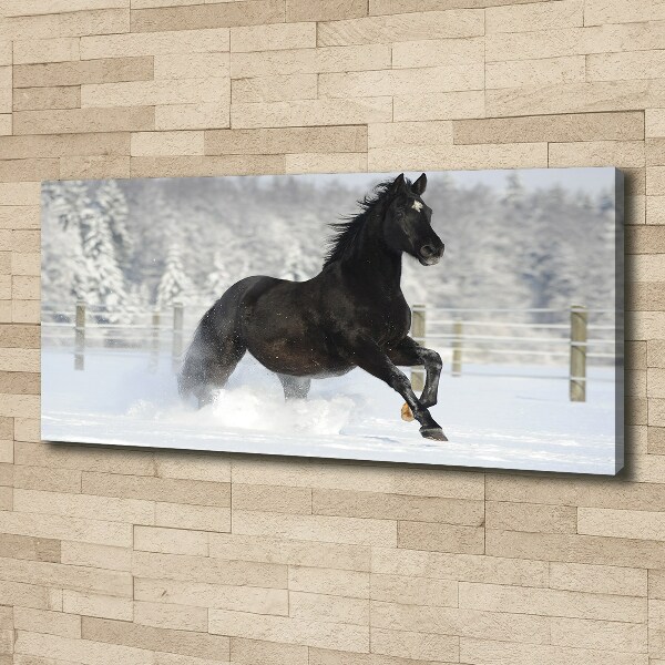 Foto op canvas Een paard dat galoppeert in de sneeuw
