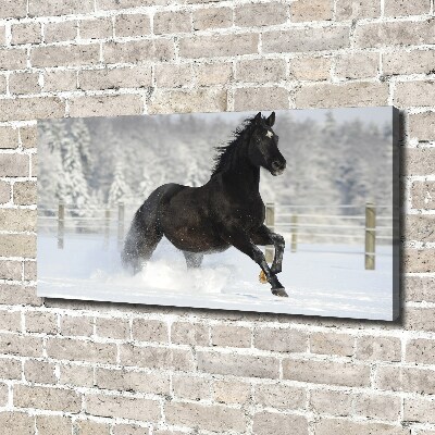 Foto op canvas Een paard dat galoppeert in de sneeuw