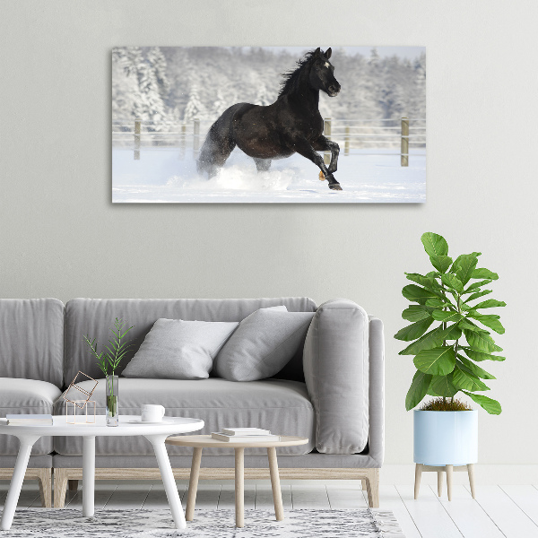 Foto op canvas Een paard dat galoppeert in de sneeuw
