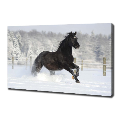 Foto op canvas Een paard dat galoppeert in de sneeuw