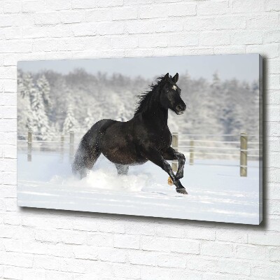 Foto op canvas Een paard dat galoppeert in de sneeuw