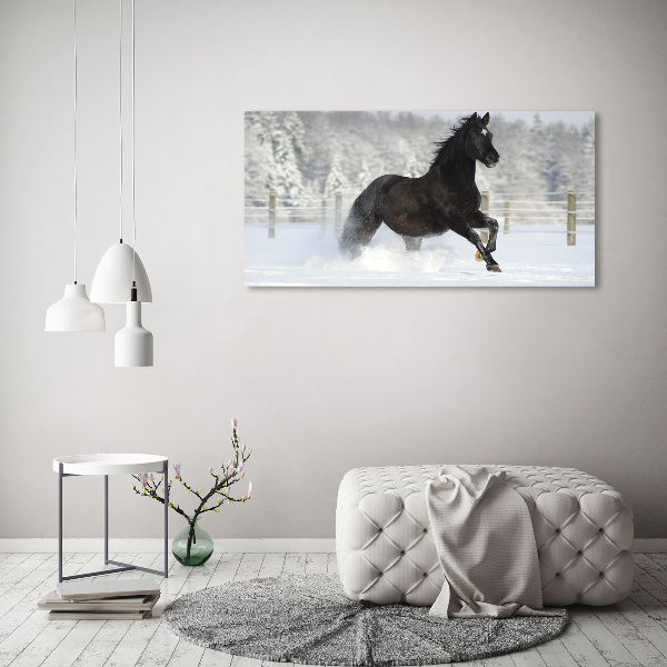 Foto op canvas Een paard dat galoppeert in de sneeuw