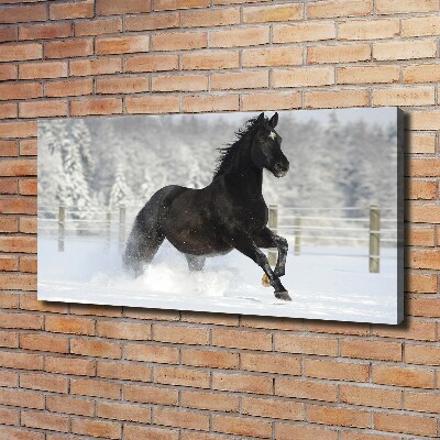 Foto op canvas Een paard dat galoppeert in de sneeuw