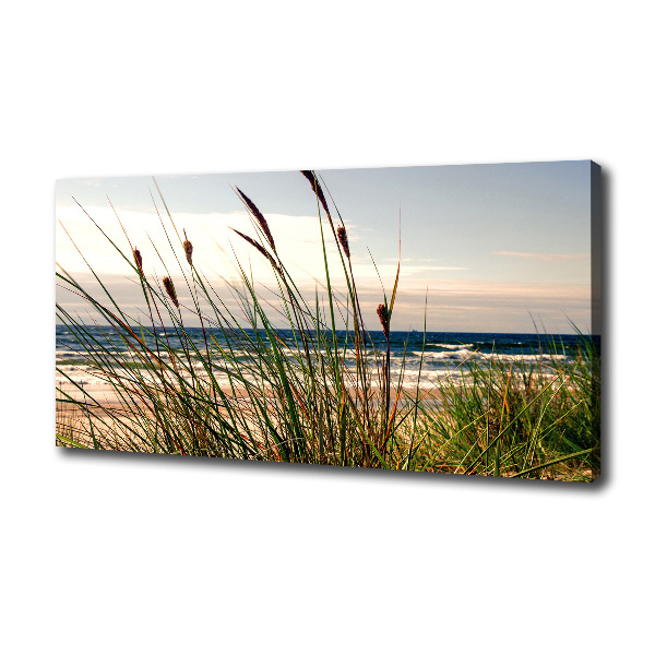 Foto op canvas duinen aan zee