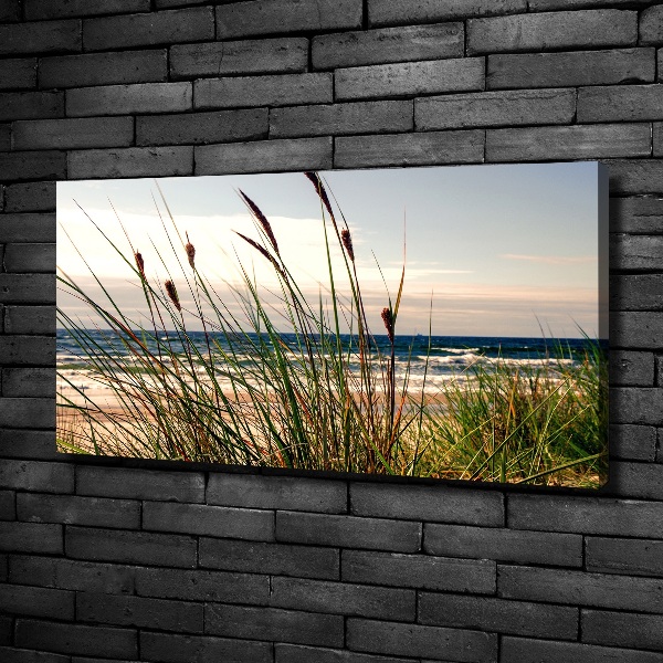 Foto op canvas duinen aan zee