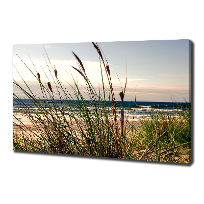 Foto op canvas duinen aan zee