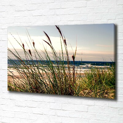 Foto op canvas duinen aan zee