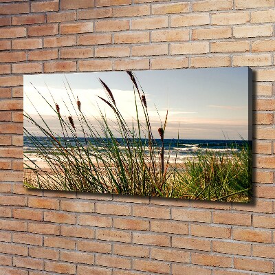 Foto op canvas duinen aan zee