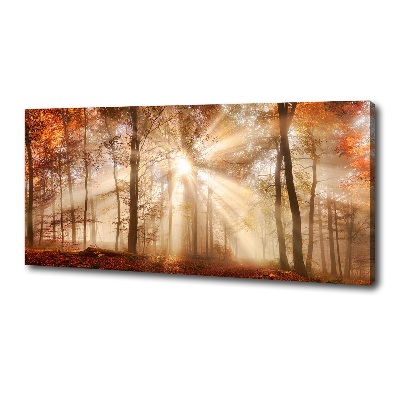 Canvas foto Mist in het herfstbos