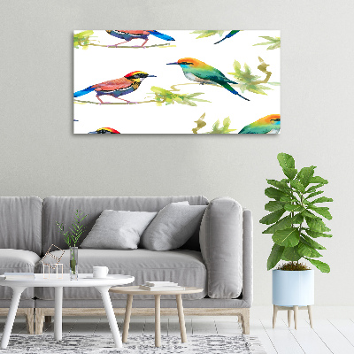 Schilderij op canvas Exotische vogels
