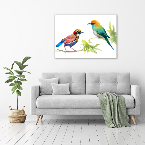 Schilderij op canvas Exotische vogels