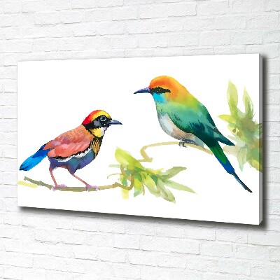 Schilderij op canvas Exotische vogels