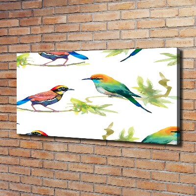 Schilderij op canvas Exotische vogels