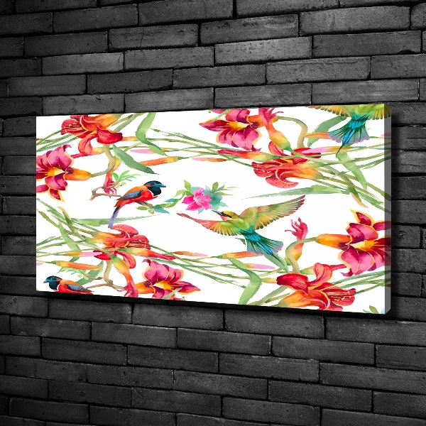 Foto canvas Exotische vogels