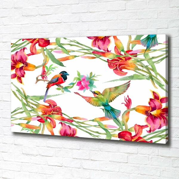Foto canvas Exotische vogels