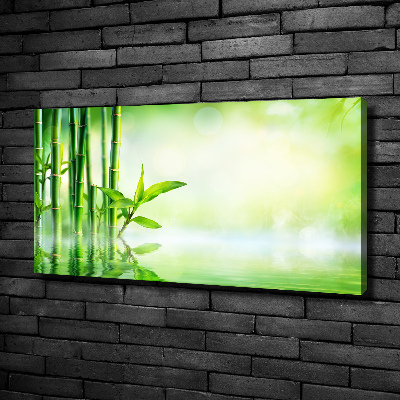 Foto canvas Bamboe