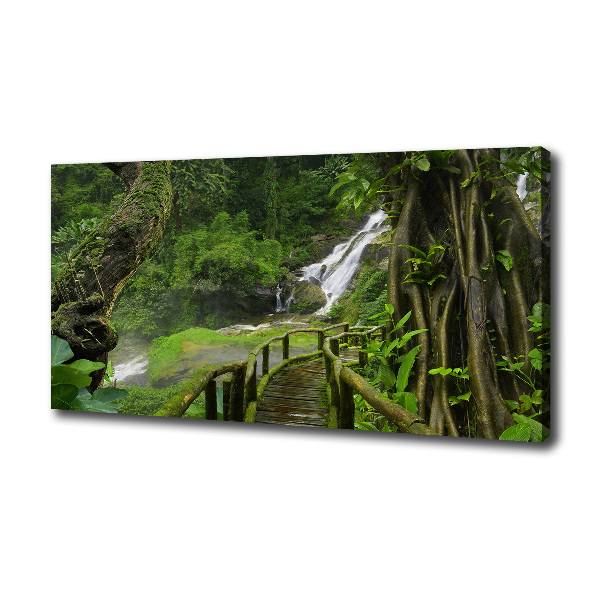 Foto canvas Waterval in de jungle