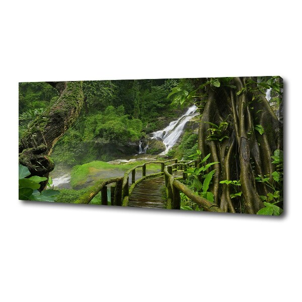 Foto canvas Waterval in de jungle