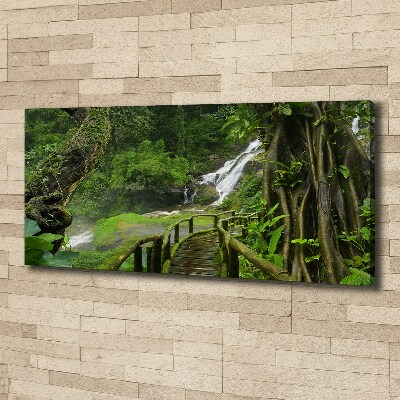 Foto canvas Waterval in de jungle