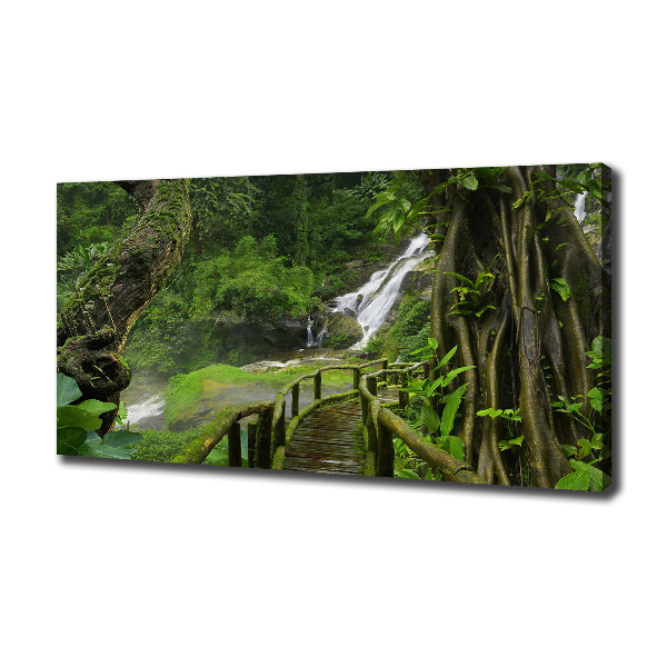 Foto canvas Waterval in de jungle