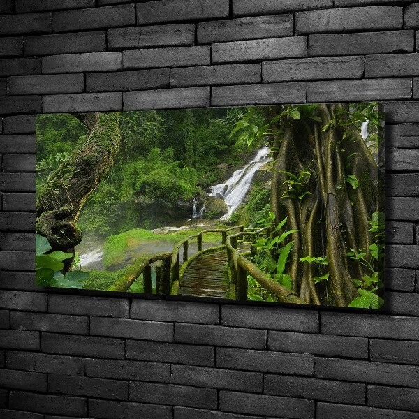 Foto canvas Waterval in de jungle