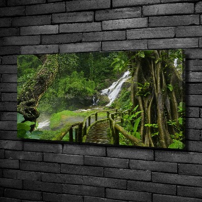 Foto canvas Waterval in de jungle