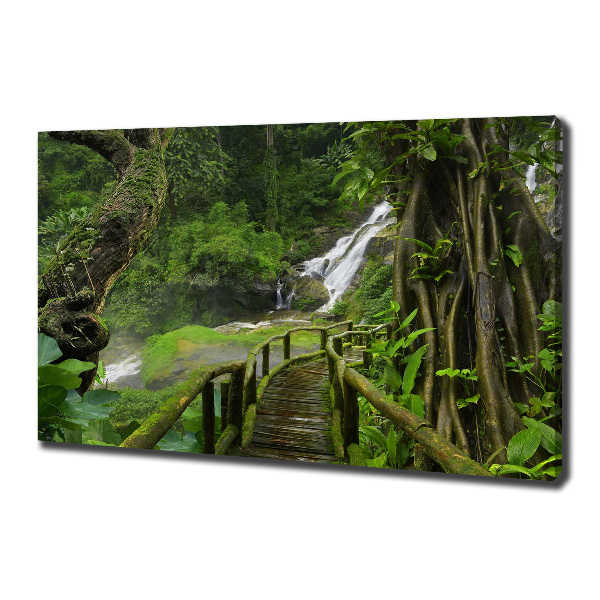 Foto canvas Waterval in de jungle