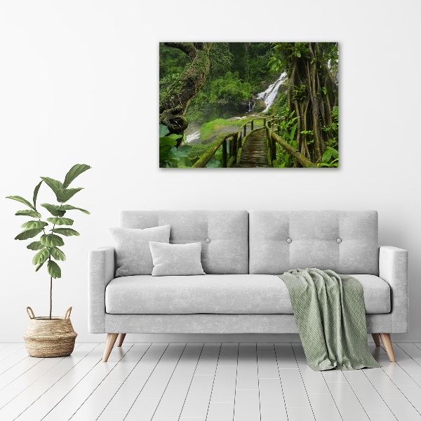 Foto canvas Waterval in de jungle