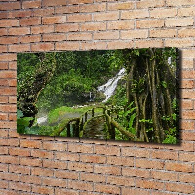 Foto canvas Waterval in de jungle