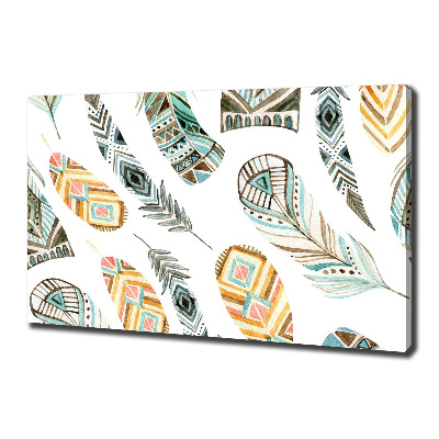 Foto op canvas Etnische veren