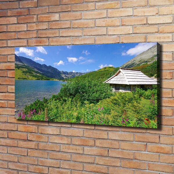 Foto op canvas Vakantiehuisje in het Tatragebergte