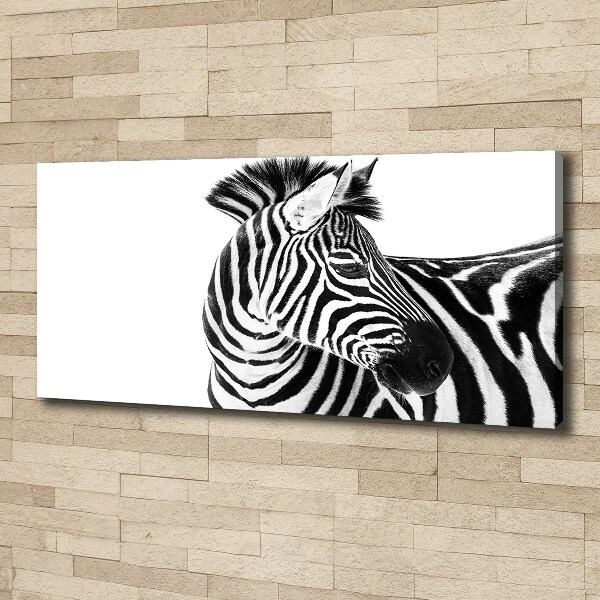 Foto canvas Zebra in de sneeuw