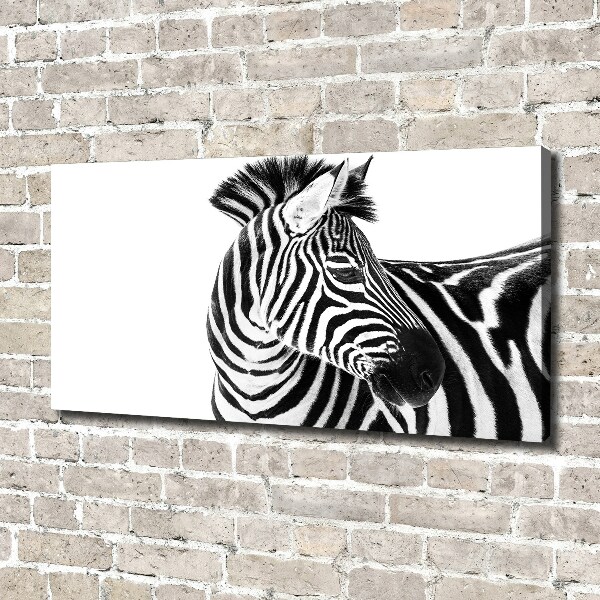 Foto canvas Zebra in de sneeuw