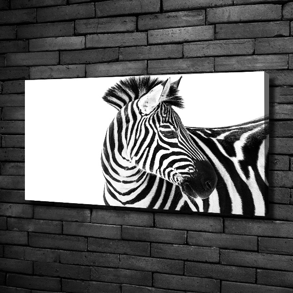 Foto canvas Zebra in de sneeuw