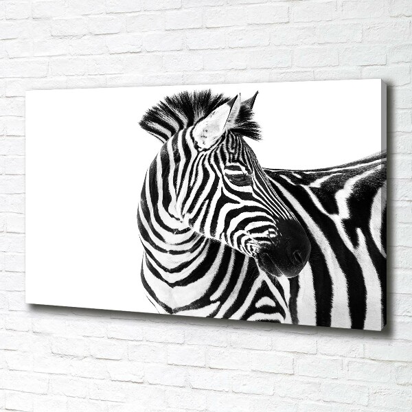 Foto canvas Zebra in de sneeuw