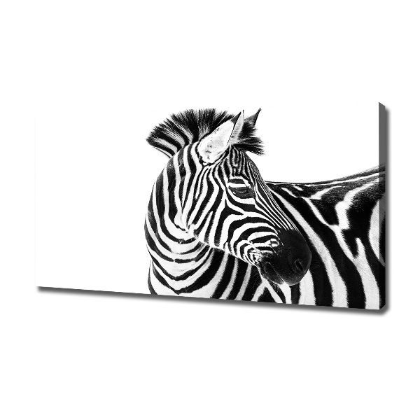 Foto canvas Zebra in de sneeuw