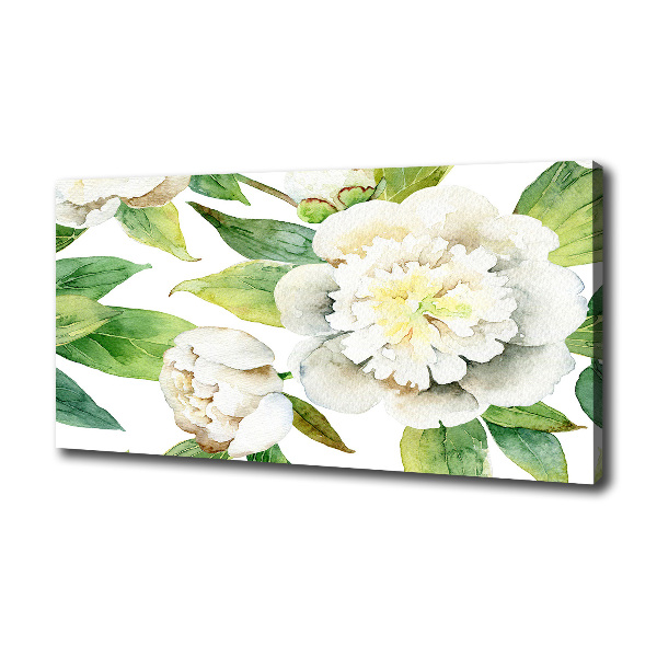 Canvas foto Pioenrozen