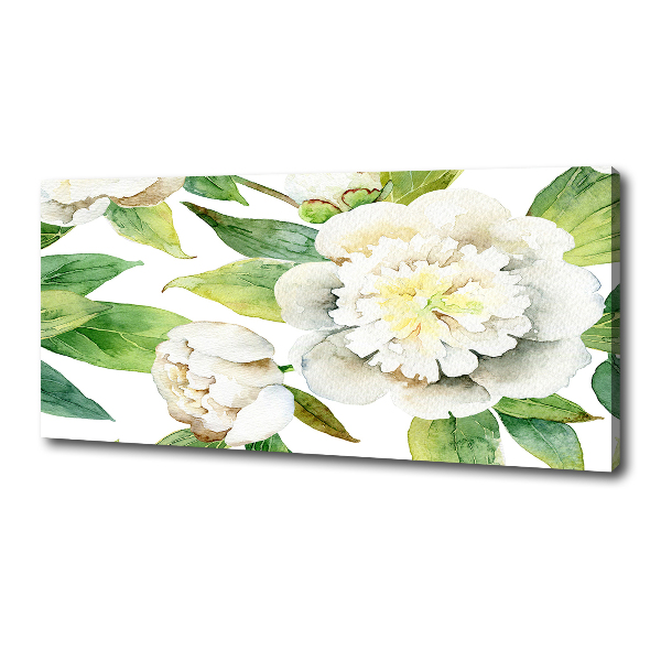 Canvas foto Pioenrozen